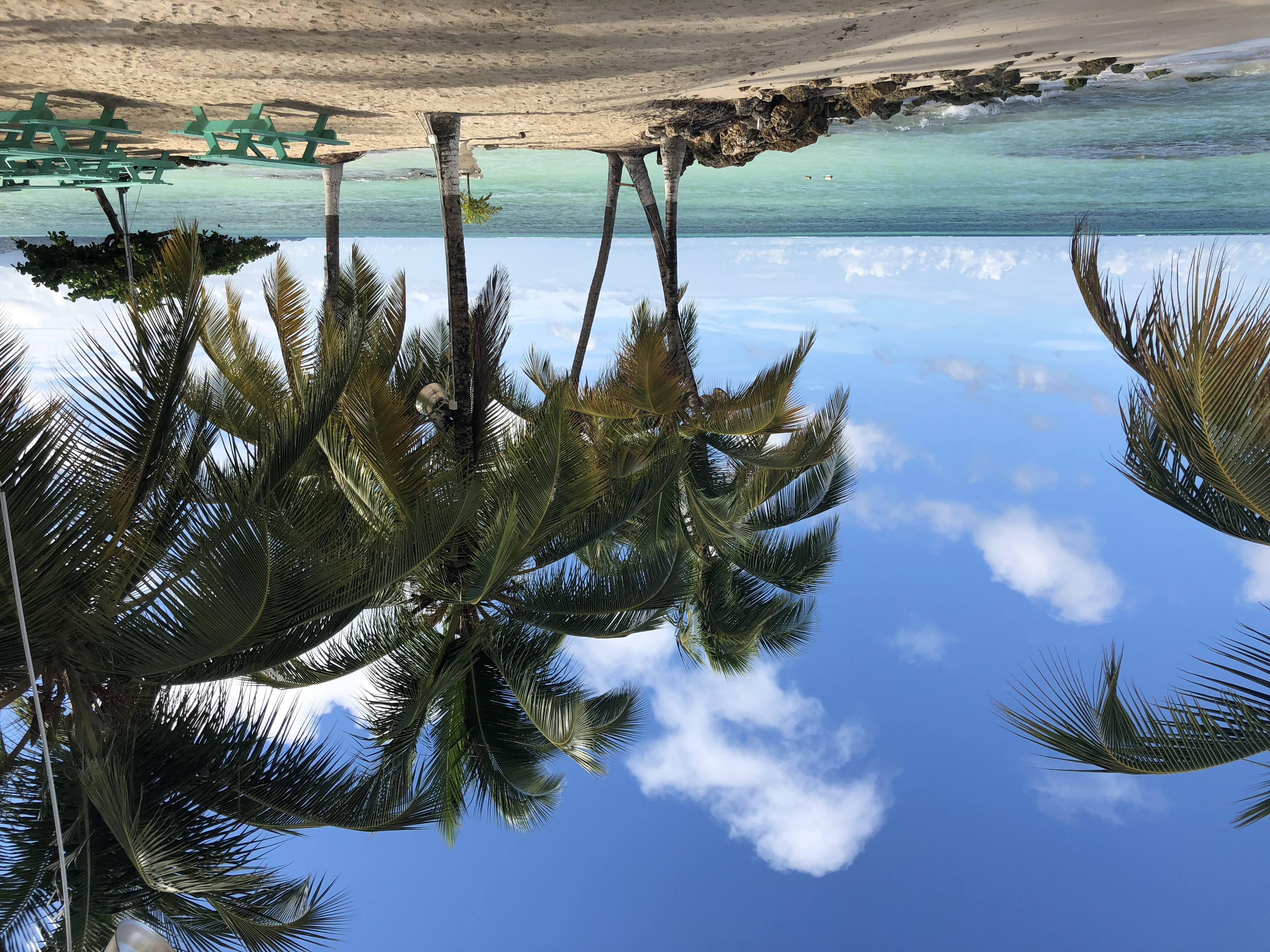 IMG_1463-Well deserved rest at the end of our build on Tobago.jpeg